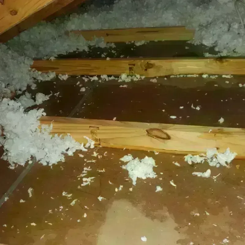 Attic Water Damage in Lock Haven, PA